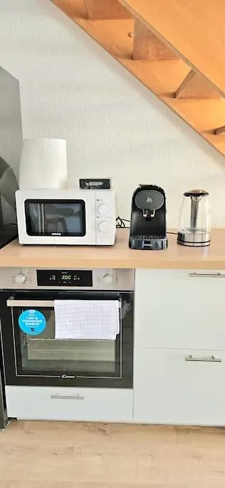 T3 Duplex Thonon Centre - Parking - Gare - Thermes Apartment 0*, Thonon-les-Bains France