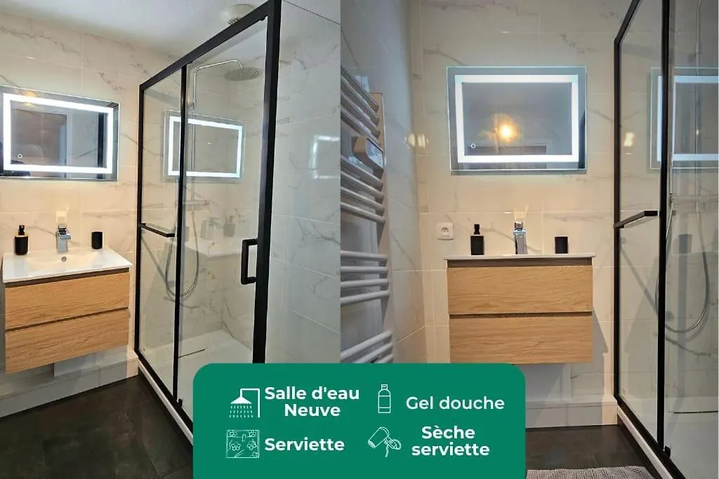 T3 Duplex Thonon Centre - Parking - Gare - Thermes تونو لي با